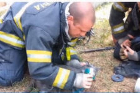 Firefighters save cat using tiny oxygen mask