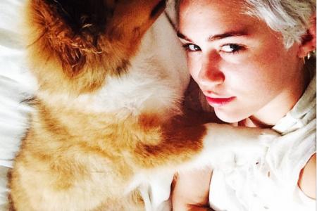 Miley Cyrus has a new dog in her life