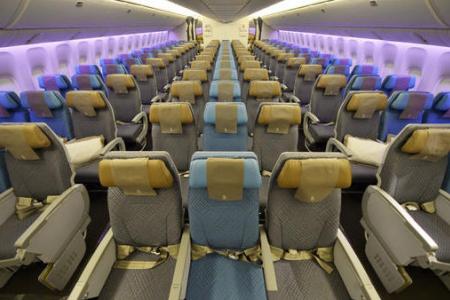 Germs galore on plane seat belts and security scan trays