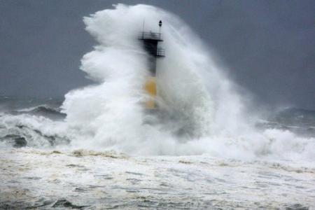 Typhoon Neoguri makes waves around the web