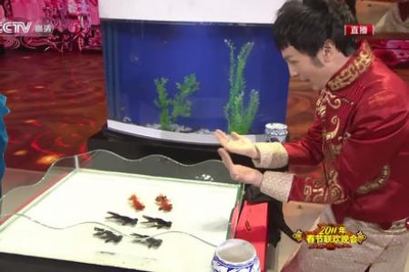 Awesome magician controls goldfish