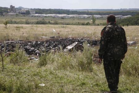 Russian govt edits MH17 Wikipedia entry, blames Ukraine