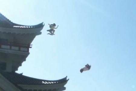 Watch Japanese schoolgirls perform crazy ninja moves