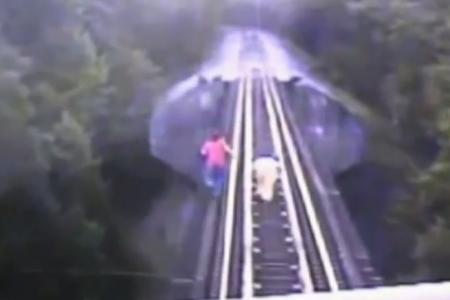 Two women survive after train runs over them