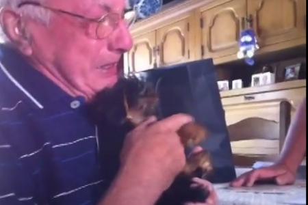 Widower-grandpa breaks down after his family surprises him with a puppy