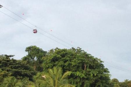UPDATE Empty Sentosa cable car falls during testing of new line, no one hurt
