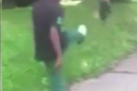 Shocking! Man kicks a cat and sends it flying into the air