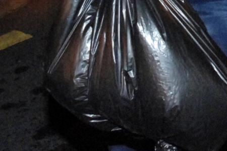 Trash bag filled with cats' heads found in Manchester