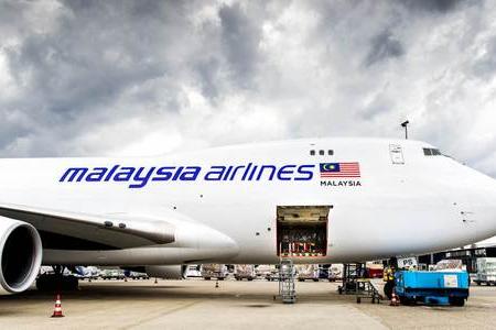 First Malaysian bodies from MH17 crash fly home