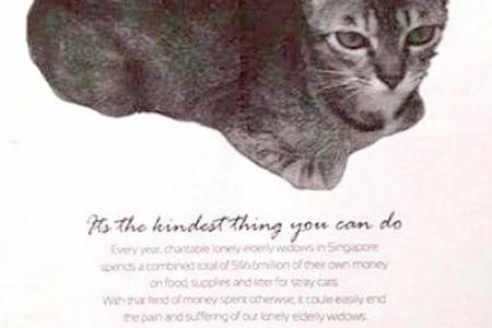 'Kill stray cats' poster of art exhibition misunderstood