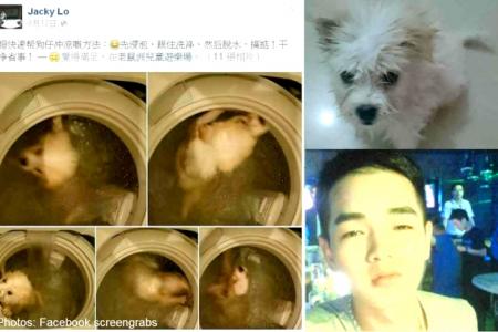 Chinese man traps dog in churning washing machine to 'clean' it