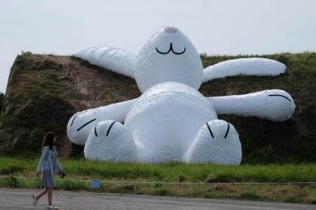Giant white rabbit wows Taiwan 