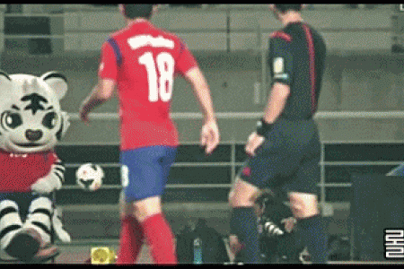 Watch South Korea's mascot hilariously fake an injury