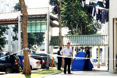 Boy, 7, found dead at foot of Tampines flat