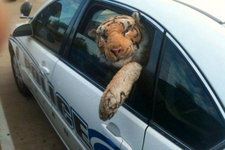 Why did someone in the US call the cops over this stuffed tiger?