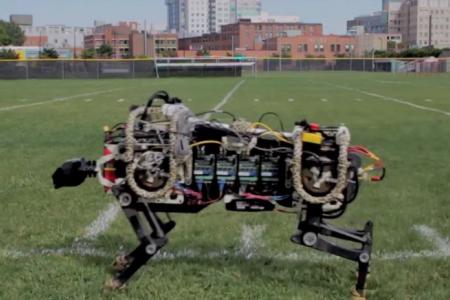 WATCH: This robotic cat bolts faster than sprinter Usain