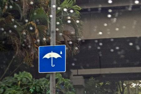 US website puzzles over what this Singapore road sign means