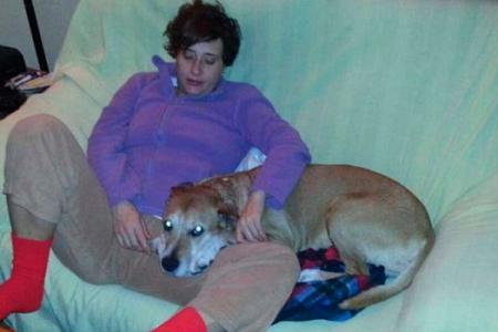 Dog of Spanish nurse infected with Ebola put down