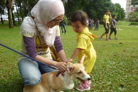 Hundreds of Muslims show up at 'touch a dog' event in Malaysia