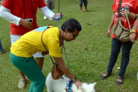 No barking matter: M'sian NGO proposes 'Do not go near dogs' event