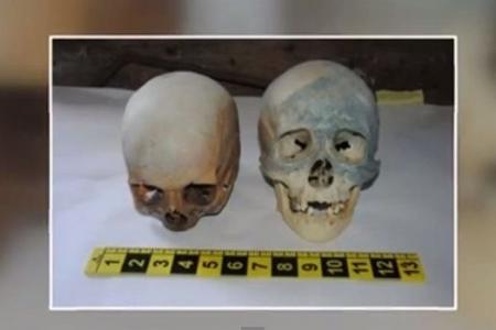 'Plastic' Halloween skulls found turn out to be human remains