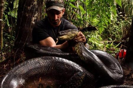 WATCH: New show on Discovery Channel wants to show man being eaten alive - by a large snake