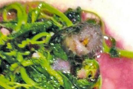 Dead rodent in diner's plate at Shanghai eatery