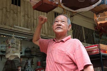 Shop owner battles Bedok storm to protect feathered friends