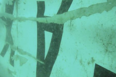 Tail section of AirAsia QZ8501 plane found, says Indonesia's search chief