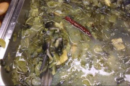 Rat droppings and two rats found at Hotpot Culture restaurant