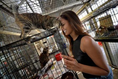 Miss Universe S'pore is back with her beloved animals