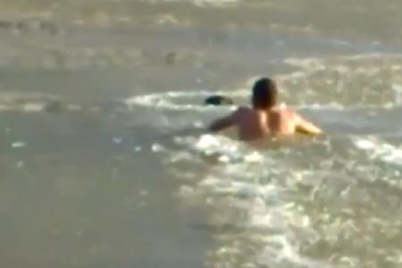 WATCH: Brave man smashes through icy river to save drowning dog