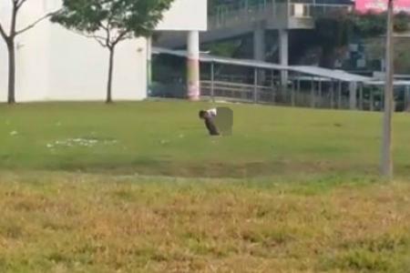 You won't believe what man was spotted doing in Jurong East field