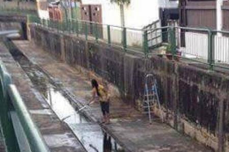 Domestic helper who went into canal says: 'I did it for my elderly employer's sake'