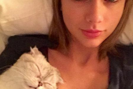 Taylor Swift's cat could possibly owe her $55 million. Which local celebs should have their assets insured?