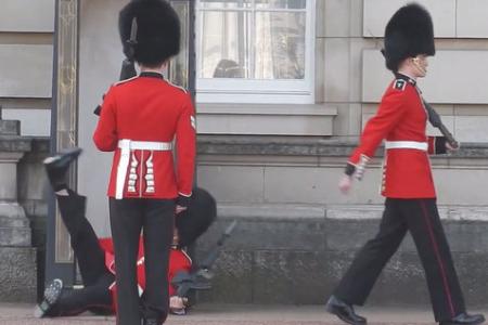 Watch: Buckingham Palace guard takes a tumble in front of tourists 