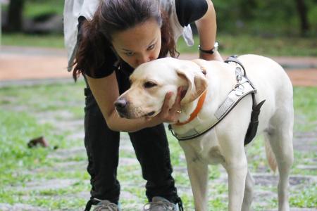 Woman in Zara-guide dog altercation quits 