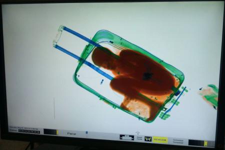 Boy, 8, smuggled to Spain in suitcase: police