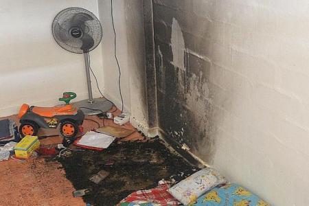 Retiree puts out fire in neighbour's flat