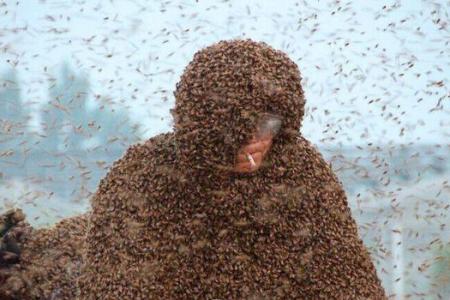 Beekeeper breaks own Guinness record