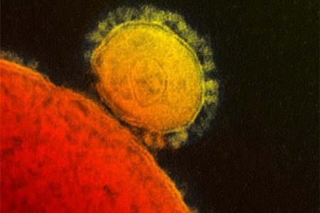 S. Korean man who flew to China despite being under quarantine tests positive for MERS 
