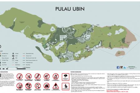 5 new things to look forward to at Pulau Ubin