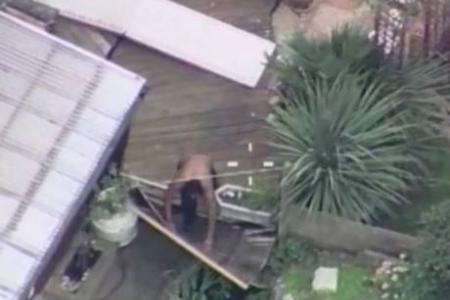 Helicopter footage shows man running amok after beheading grandmother