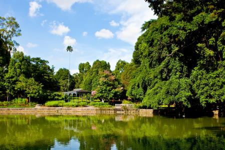 Singapore Botanic Gardens named UNESCO heritage site