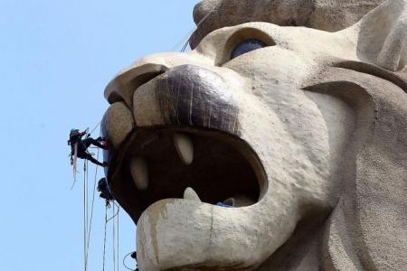 Fear of heights not an option for men cleaning the Merlion in Sentosa