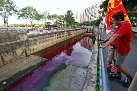Why is there blood-red water in Jurong West canal?