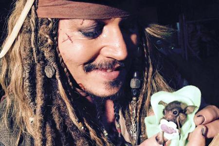 Johnny Depp adopts baby bat named Jackie Sparrow