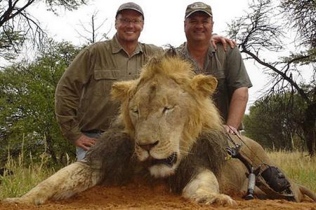 US dentist's regret for killing  lion does little to stop online attacks