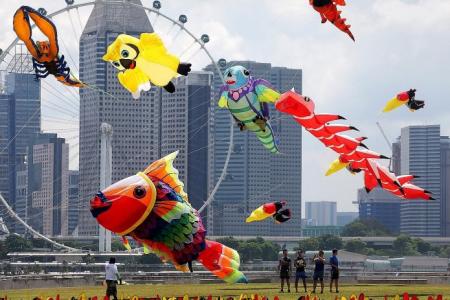 Kites take flight at Marina Barrage