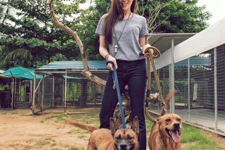 Socialite Kim Lim launches fund-raising calendar for animal welfare groups with celeb friends